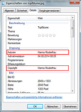 Eigenschaften eines Bildes