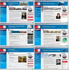 Einheitlicher Eindruck: Die Internetseiten der Kernverwaltung sind auf den ersten Blick zu erkennen.